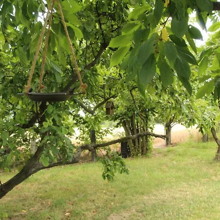 Am Hutberg Apartamento *